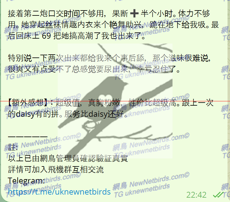 戰號 323 3.png
